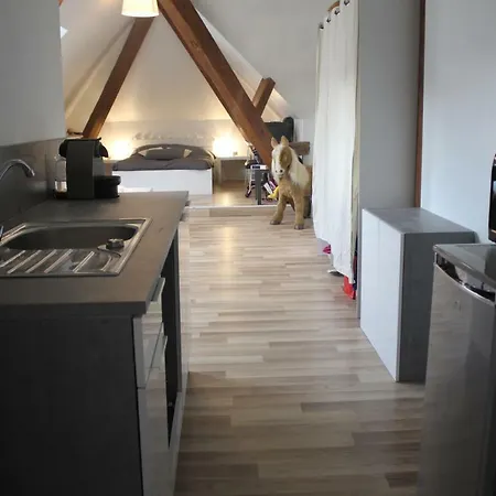 Chambres Privatives Chez L'Habitant Guebwiller Exterior photo