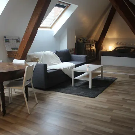 Chambres Privatives Chez L'Habitant Guebwiller Exterior photo